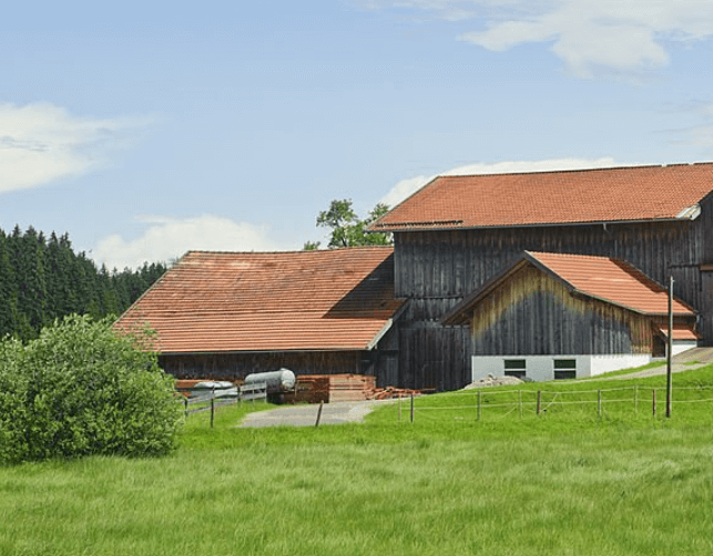 Landwirtschaft Bild